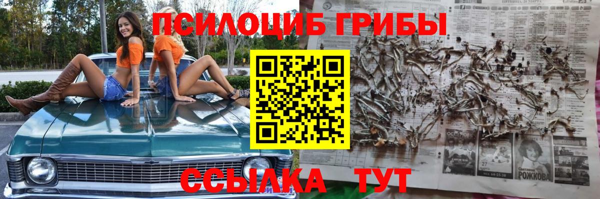 Псилоцибиновые грибы мицелий  Галлюциногенные грибы Psilocybe  Вход с VPN  Муравленко 