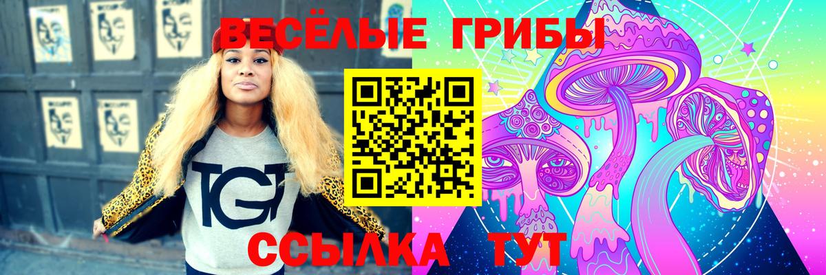 Псилоцибиновые грибы мухоморы Муравленко
