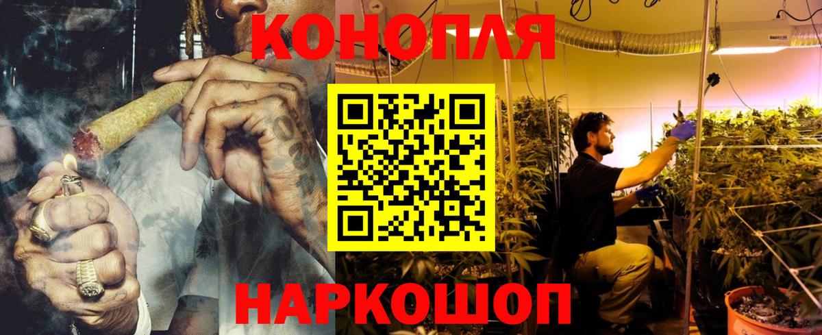 МАРИХУАНА сатива Муравленко